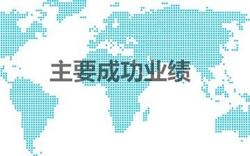 主要成功业绩